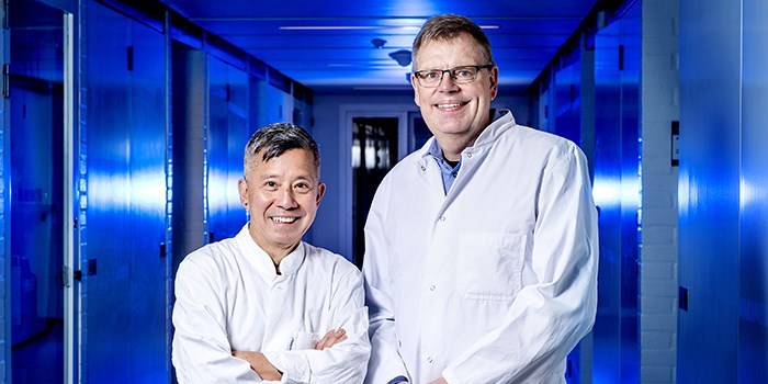 Professors Dang Duong Bang and Anders Wolff